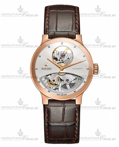 RADO 734.0248.3.101